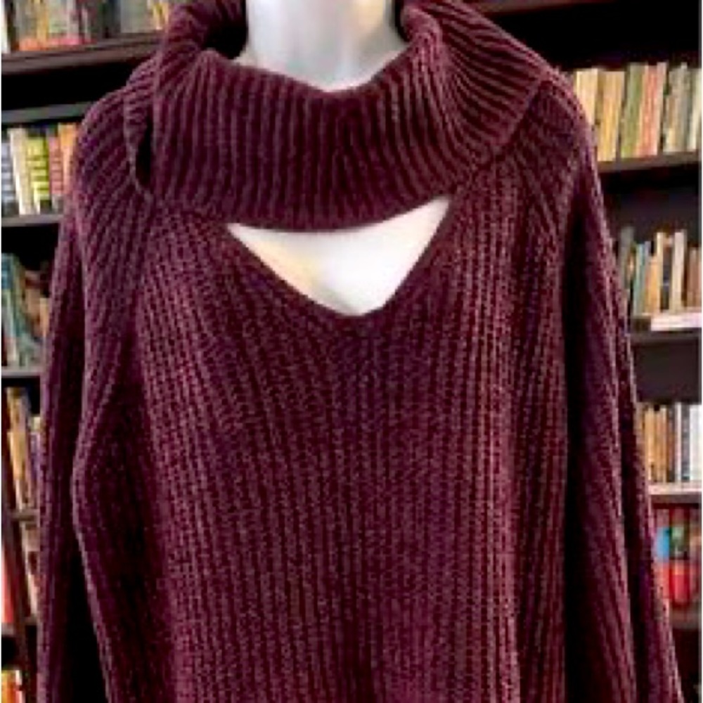 NWT Woman’s Size 22/24 Lane Bryant Sweater